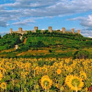 Fortress & Tuscan Country Side