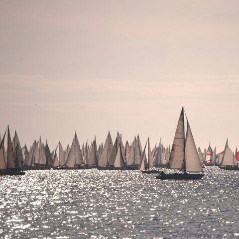 _Friulia_Venezia_Giulia_Trieste_Barcolana_Detail_GL