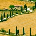 Tuscany Country Side Cypress And Road