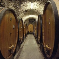 _Tuscany_Food_Wine_Cellars_GL