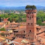 Tuscany_Lucca_Tower_w_Tree_Particular