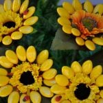 Abruzzo_Sulmona_flowers_made_by_confetti