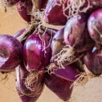 Troepa Red Onion Calabria Food