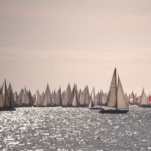 1500583473-_Friulia_Venezia_Giulia_Trieste_Barcolana_Detail_GL