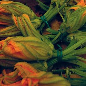 Rome Food Squash Flowers Dish Typical