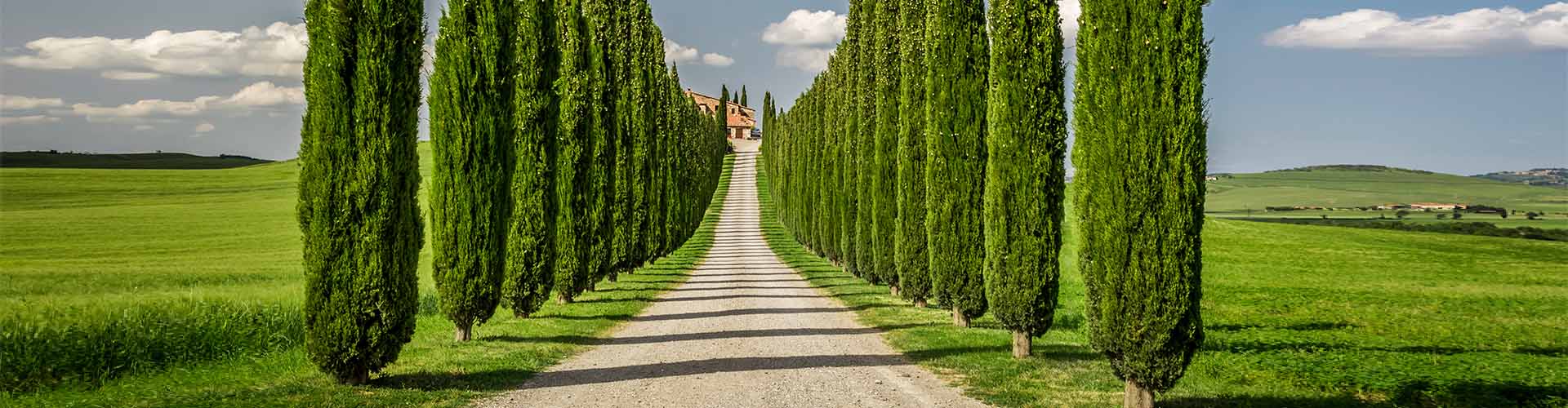 Tuscany Travel Guide