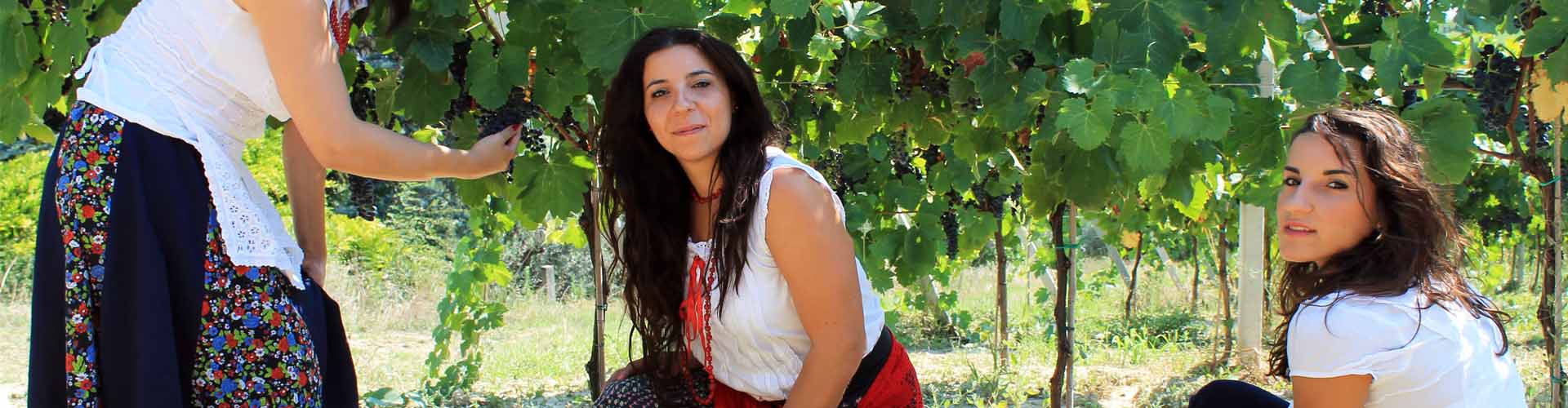 Culture of Marche Guide