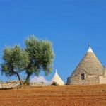 Apulia_Alberobello_Trulli_Field_Houses_view_480x480_GL