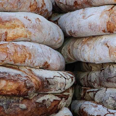 Basilicata_homemade_Bread_woodowen_Food_480x480_GL