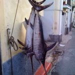 Calabria_Food_Sword_Fish
