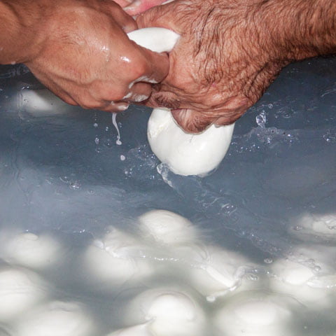 Campania_Food_Mozzarella_Hand_Made_Cheese_480x480_GL