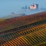 Piedmont_Grinzane_Cavour_Castle_View_Wineyard_Fall_colors