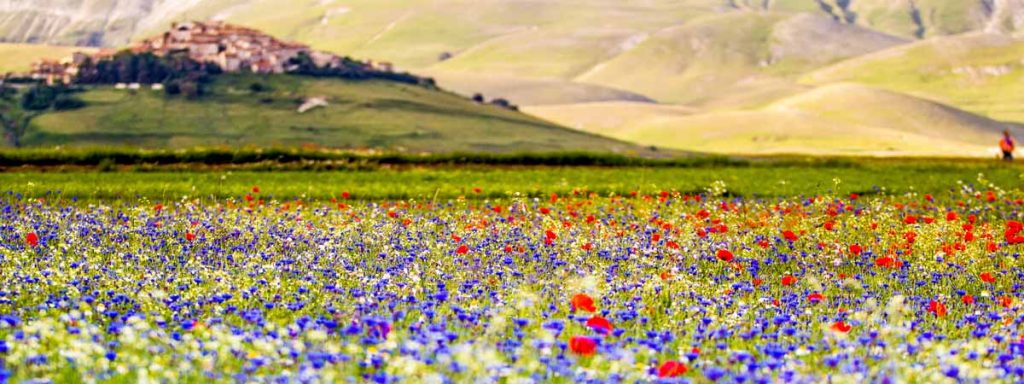 Castelluccio di Norcia Umbria