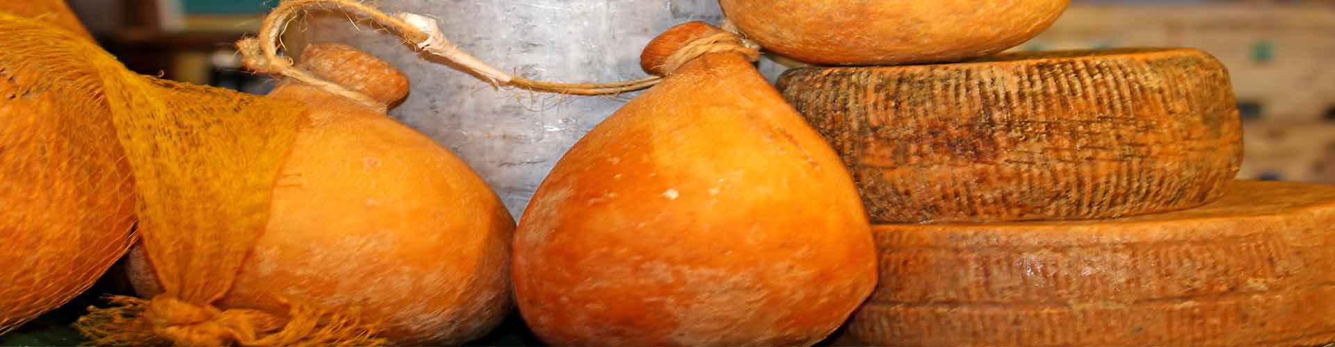 Food & Wine of Campobasso