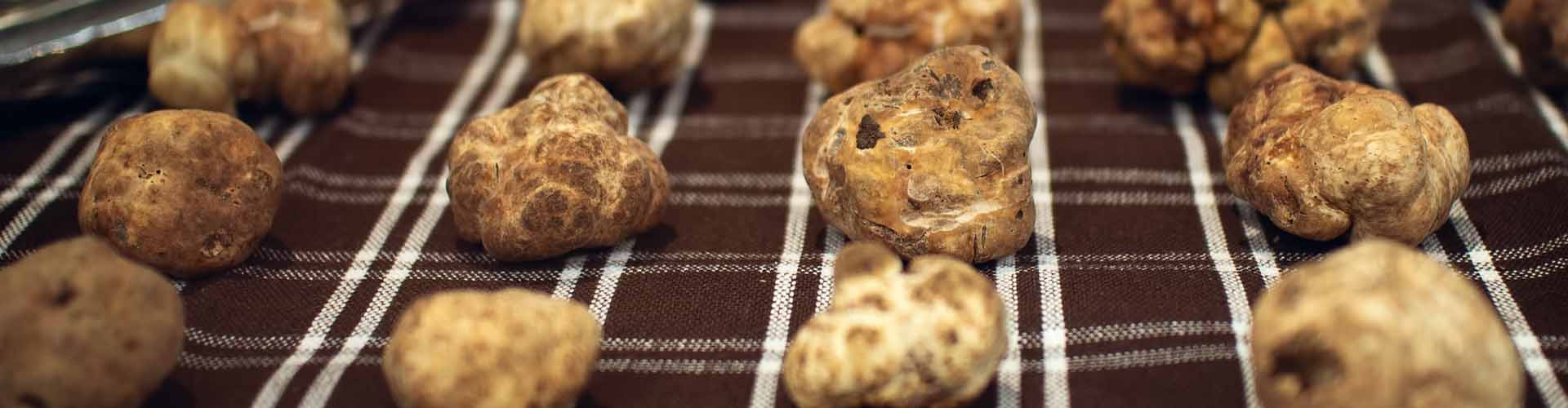Food and Wine of Alba Travel Guide