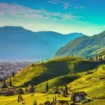 Trentino_Bolzano_Santa_Maddalena_Vineyards_view
