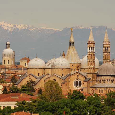 Veneto_Padua_Padova_St_Anthony_Basilica_Roof_480x480_GL