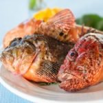 Campania Scorpion Fish Fresh SeaFood Amalfi Coast