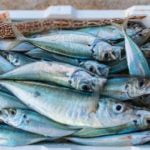 Fresh Fish Market Food Agrigento 2