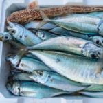 Fresh Fish Market Food Agrigento