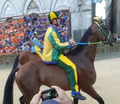 Tuscany_Siena_palio_horses_blg