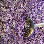 Umbria_Norcia_Food_Beans_Purple_Typical