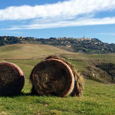 Tuscany_Montepulciano_View_Town_Panormaic_Hill_History_480x480_GL01