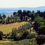 Tuscany_San_Gimignano_hillcountry_Panoramic_views