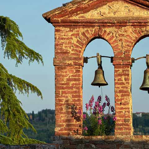 Tuscany_Siena_city_details_history_culture__480x480_GL01