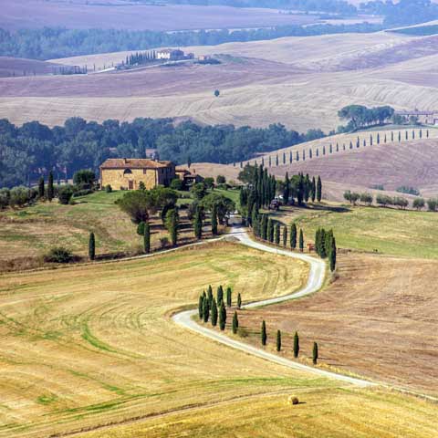 Tuscany_Valdorcia_Cypress_Chappel_Hillcountry_View_Panorama