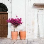 Apulia_Brindisi_city_life_view_colors_Street_Buildings_