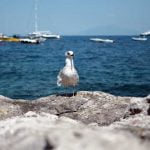 Campania_Capri_Sea_View_Panoramas_People_Boats_life