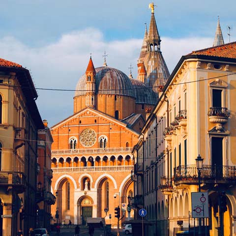 Padua Panoramic View Basilica