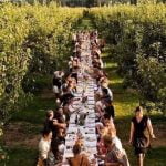 Tuscany_Food_Wine_yard_Dinner_People