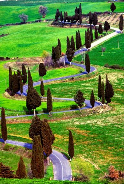 enTuscany_Siena_TOSSI112