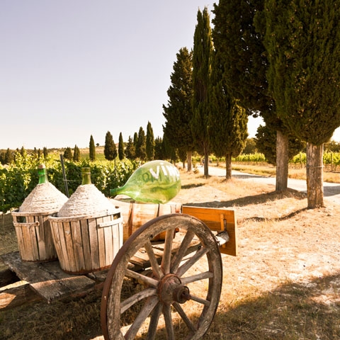 Turscany_Chianti_Road_Wine_Seller_Cipress_GL2
