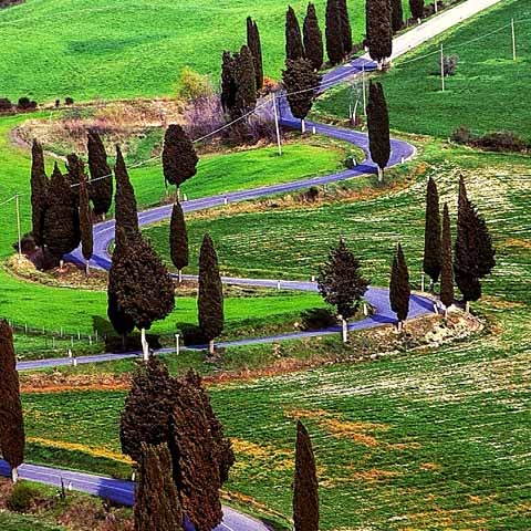 1499364898-_Tuscany_Siena_CountrySide_Cypress_Wining_roads_GL01