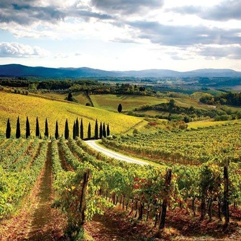 1484406651-_Tuscany_Particulars_Hillcountry_view_GL1