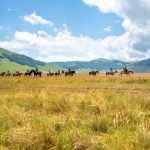Horseback Riding In Umbria