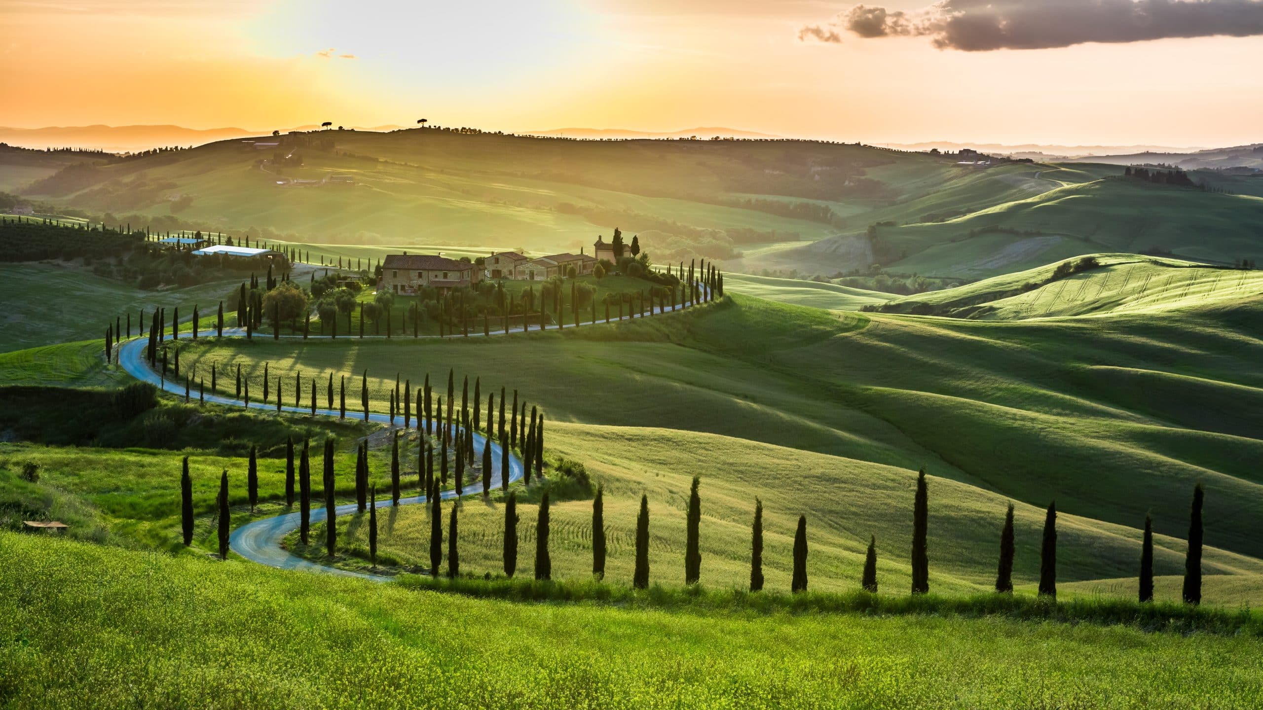 Tuscany Siena Val Dorcia Country Side View Road Cipress 00001 T2I, Italy